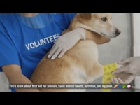 Animal Care: Welcome to The Care And Animal Welfare of All Species Course