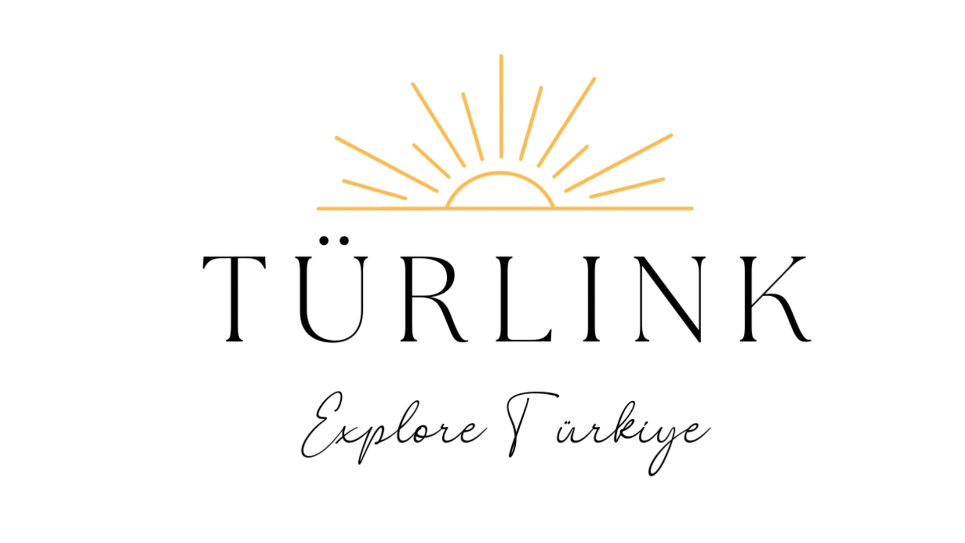 Turlink Advert