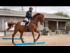 Polework for Eventing