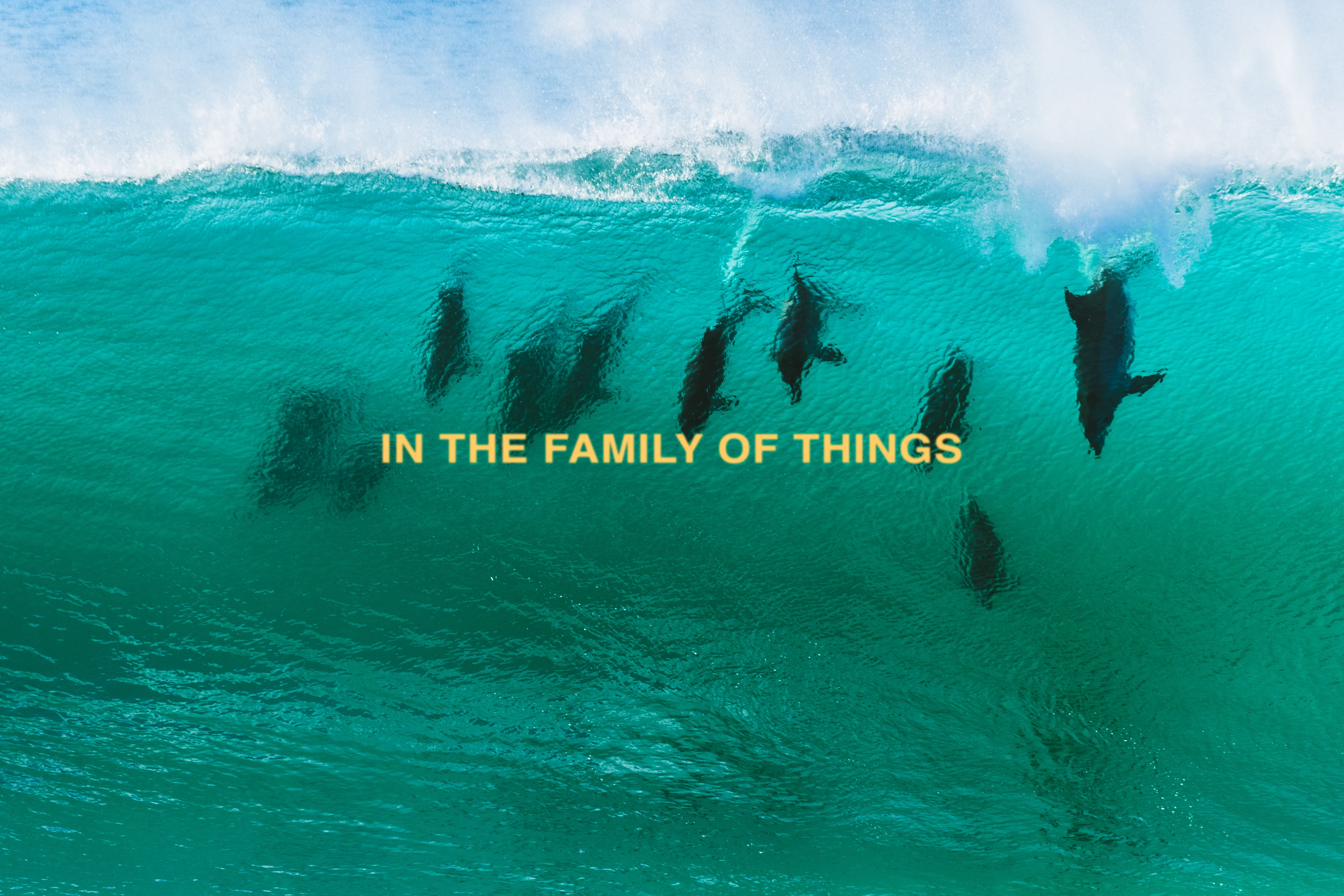 Watch: Dave Rastovich Is Great Style Defined - Surfer