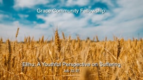 Elihu: A Youthful Perspective on Suffering