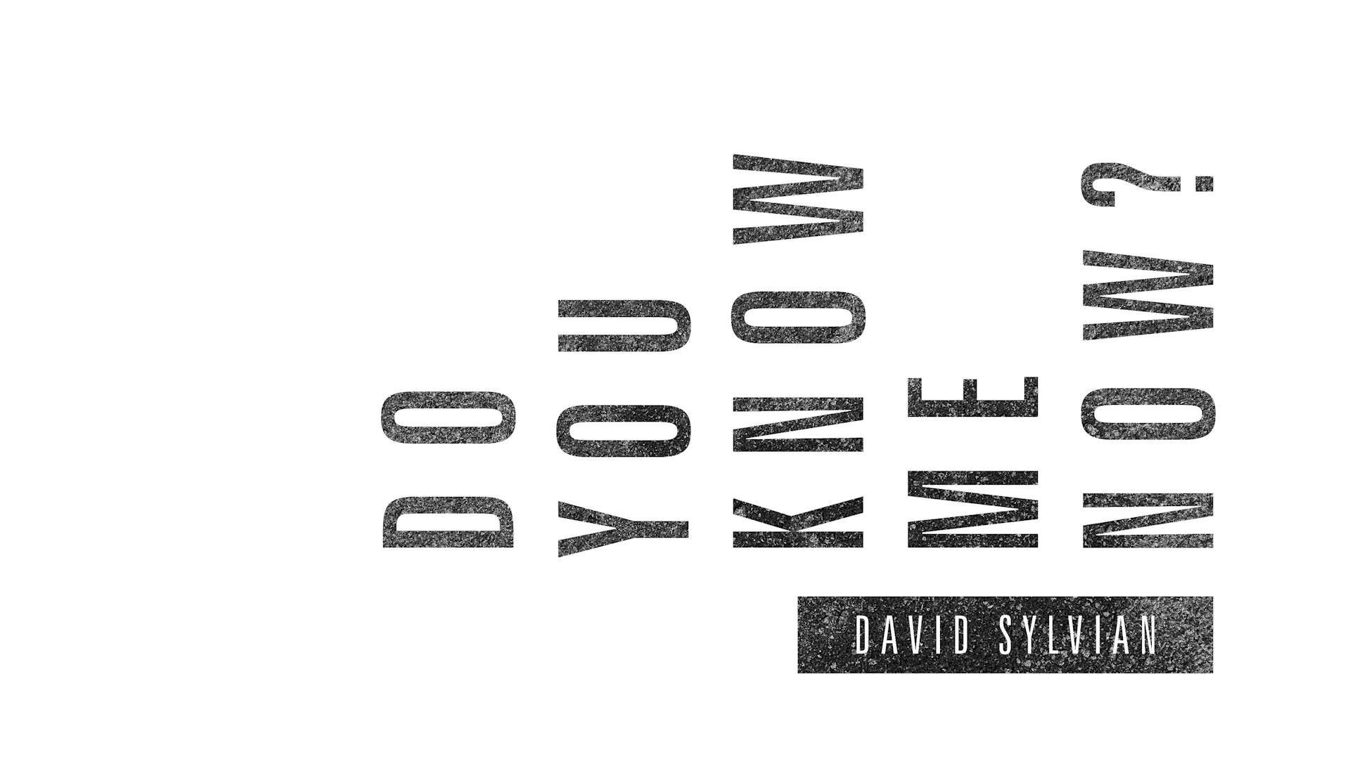 2003–2014 – Do You Know Me Now? - David Sylvian : Expect