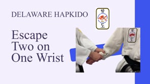 DE Hapkido, escape 2 on 1 wrist, episode 3 opt