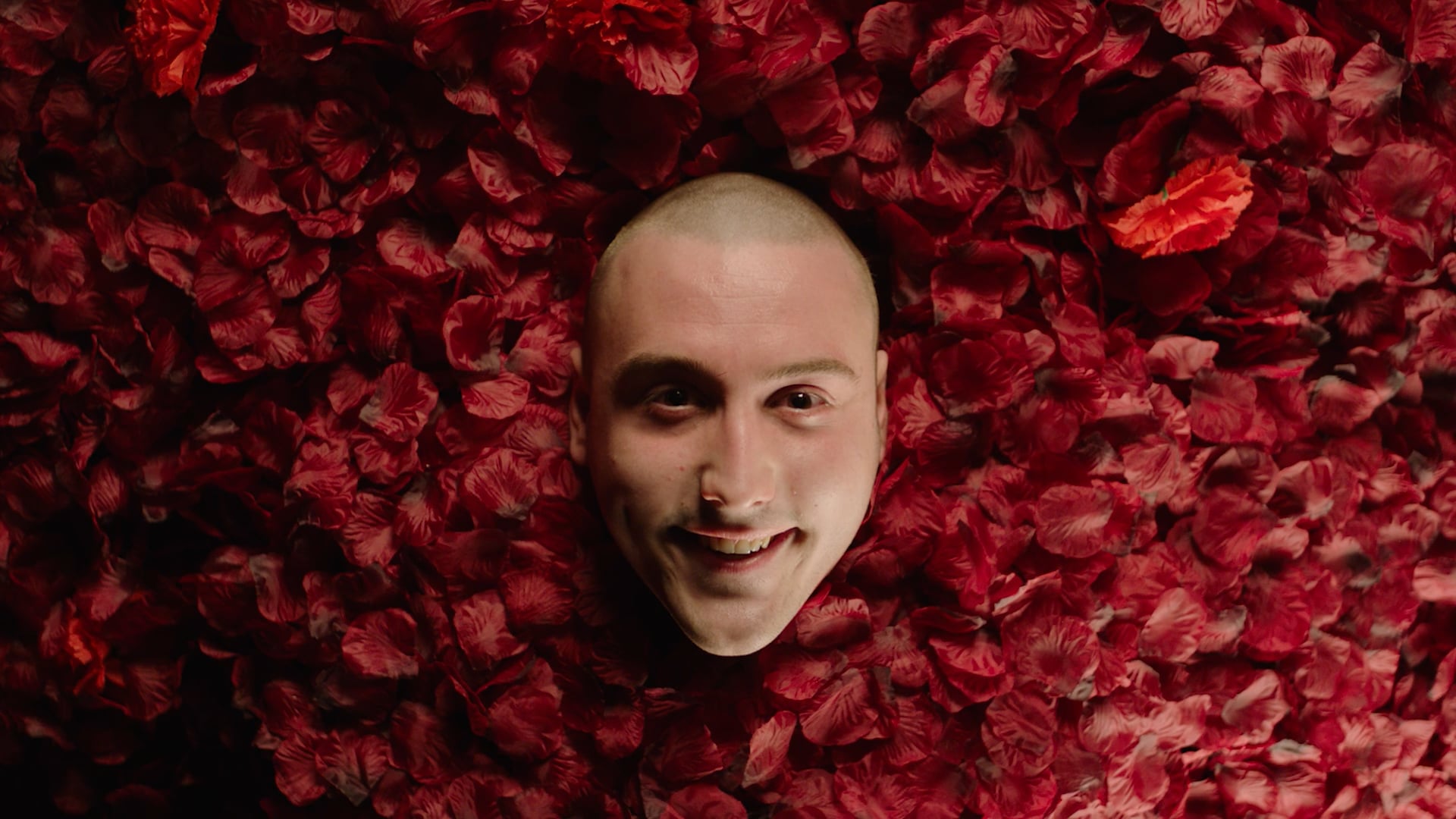 Michael Falcione Cinematography Reel 2023