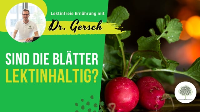 Sind Blätter von Radieschen und Rüben lektinhaltig? 