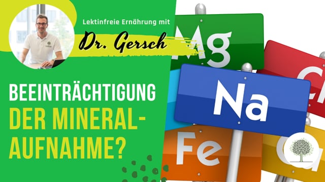 Kann Oxalsäure die Mineralaufnahme beeinträchtigen? 