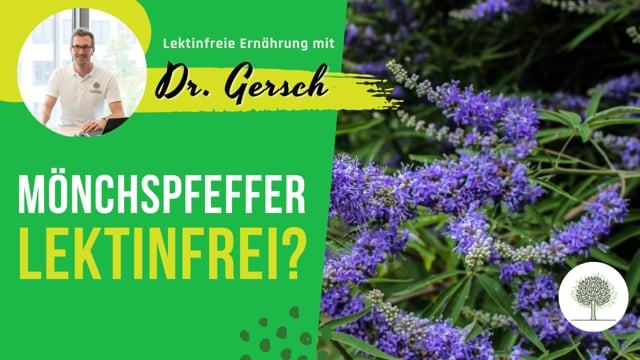 Ist Mönchspfeffer lektinfrei? 