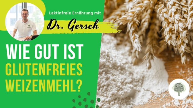 Ist glutenfreies Weizenmehl lektinfrei? 