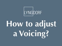 Voicings 2 - How to adjust a Voicing.