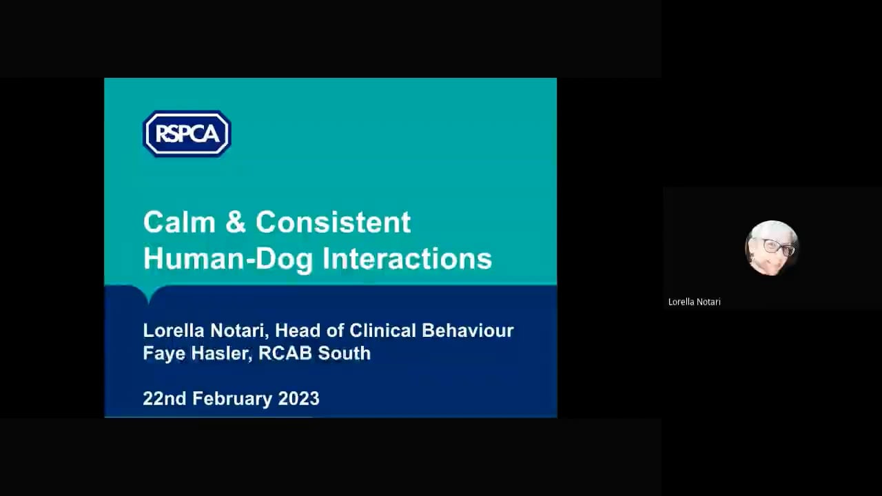 Behaviour CPD session - Calm and consistent human dog interactions (2023-02-22 14_33 GMT) (1).mp4 - Lorella Notari