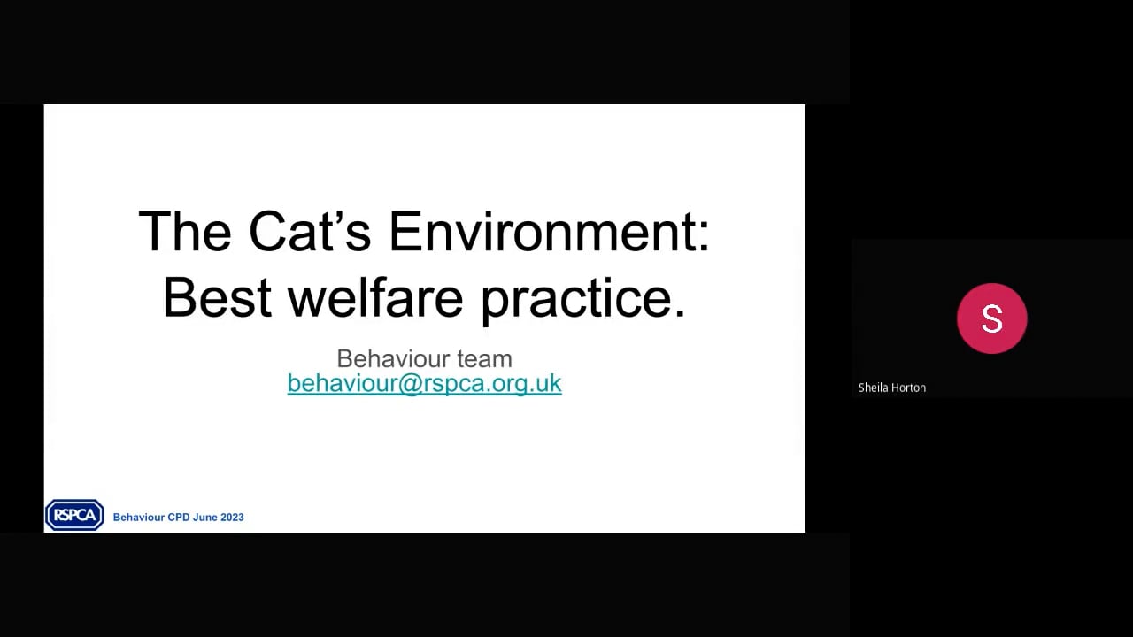 Behaviour CPD session - The cat environment (2023-06-28 14_33 GMT+1) (1).mp4 - RSPCA Staff Contributors