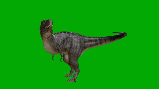 raptor dinosaur run loop alpha Side view, Stock Video