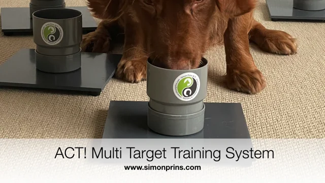 Dog target 2024 training equipment