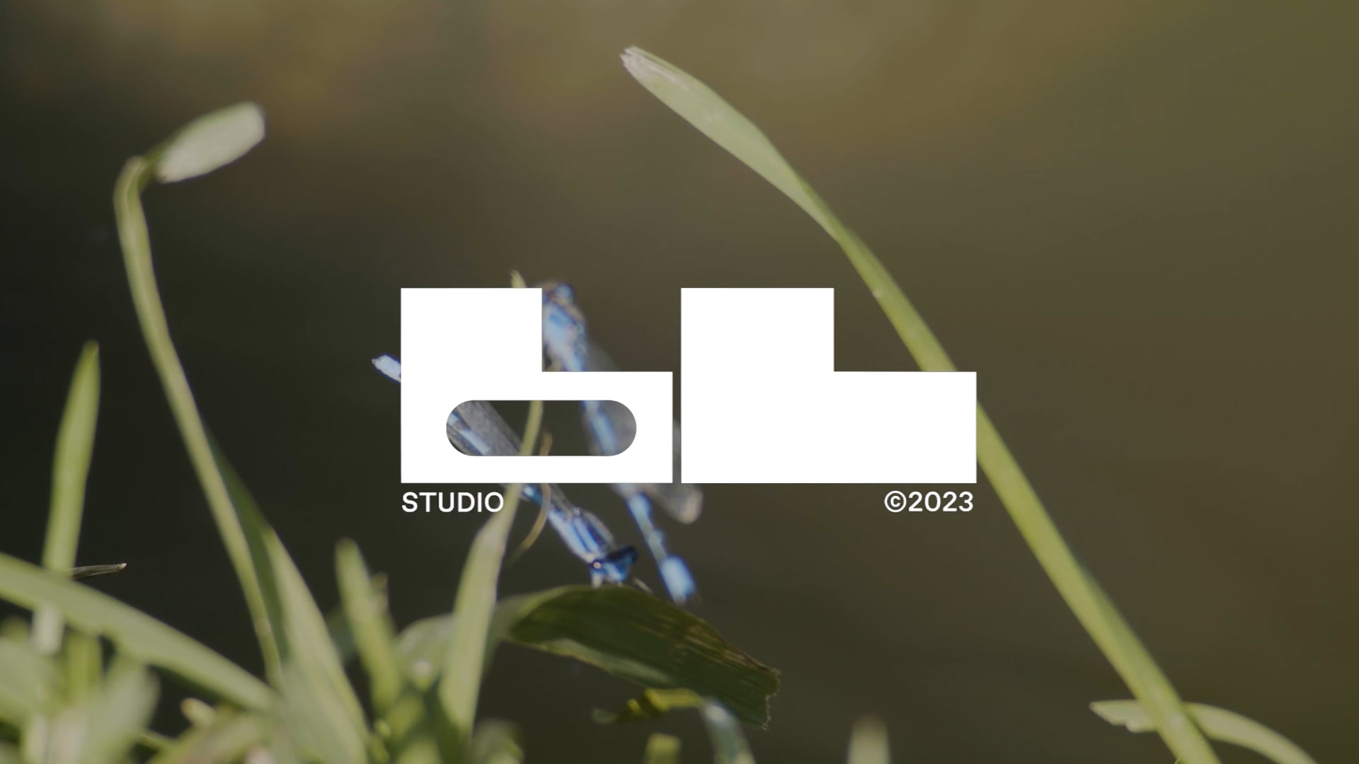 bl studios 23' on Vimeo