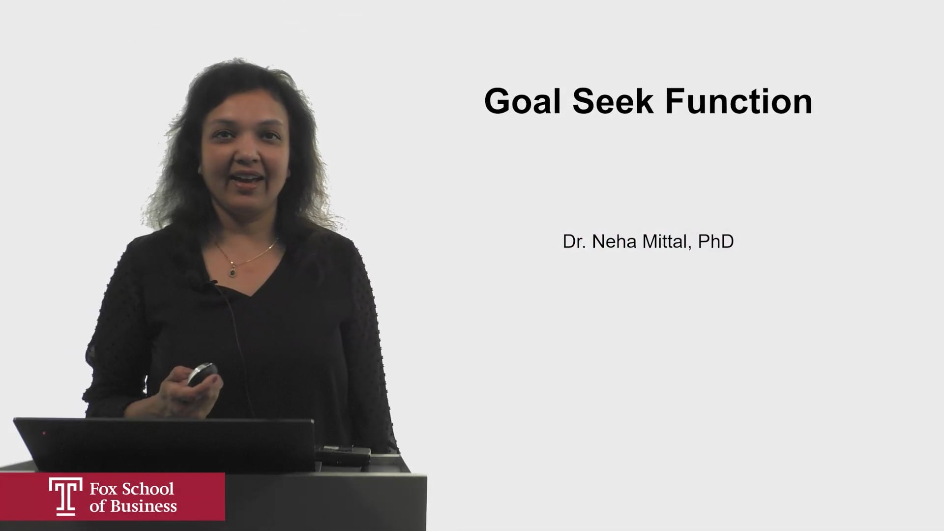 Goal Seek Function