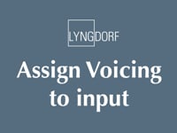 Voicings 4 - Assign Voicing to input