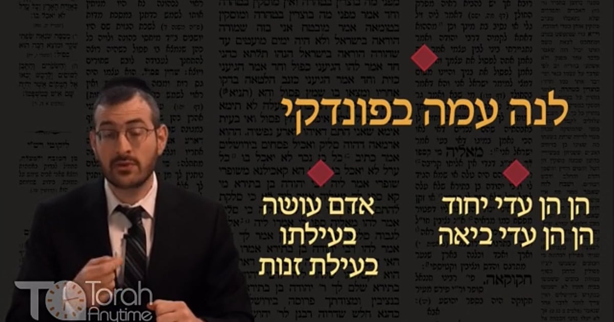 R' Shlomo Schwartzberg | Daf Hachaim: Masechet Gittin Daf 81 Intro