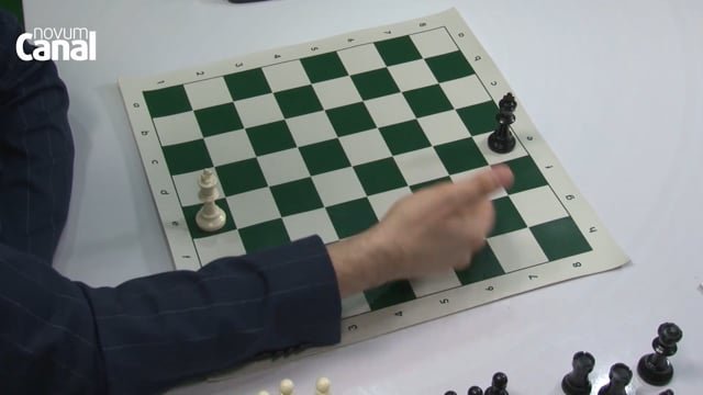Novum Canal promove torneio de xadrez online - Novum Canal