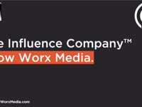 Why CEOs with Influence Win