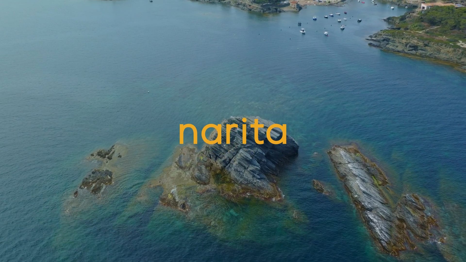 Narita Concept