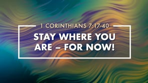 Stay Where You Are – For Now!