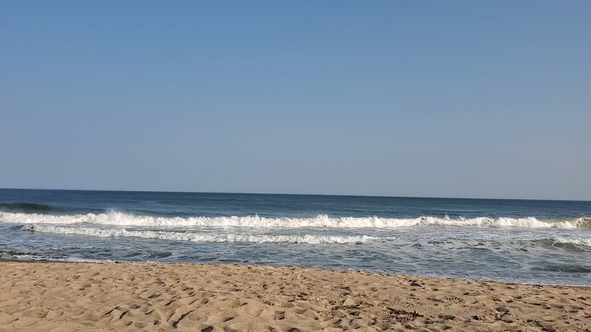 https://i.vimeocdn.com/video/1696528972-e19beb599442368dbf4052fb8bff6869f3693e778e7b115068d08348988133ed-d
