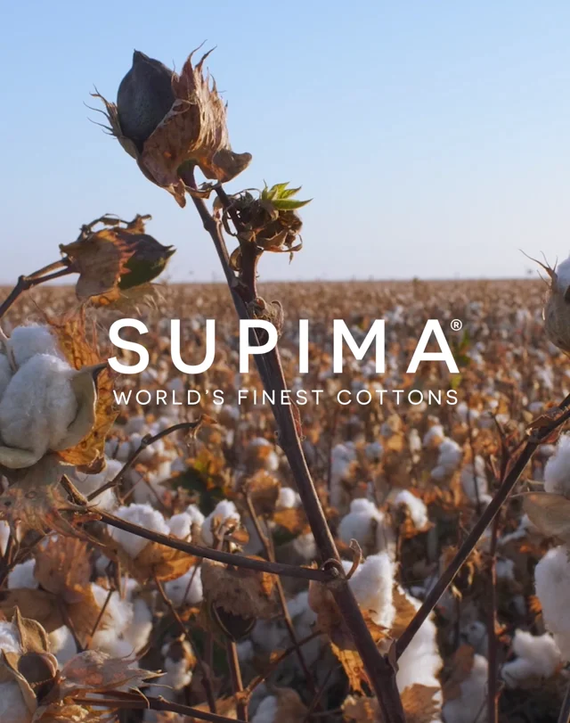 Supima Cotton  World Finest Cottons