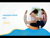 Birth Doula Overview