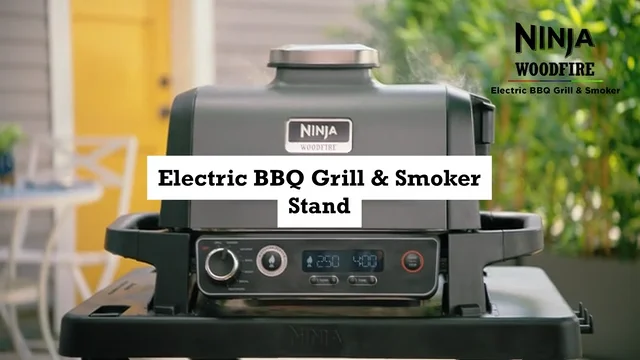 Ninja Woodfire Electric BBQ and Smoker (OG701UK) review: Tasty smoke  without the fire