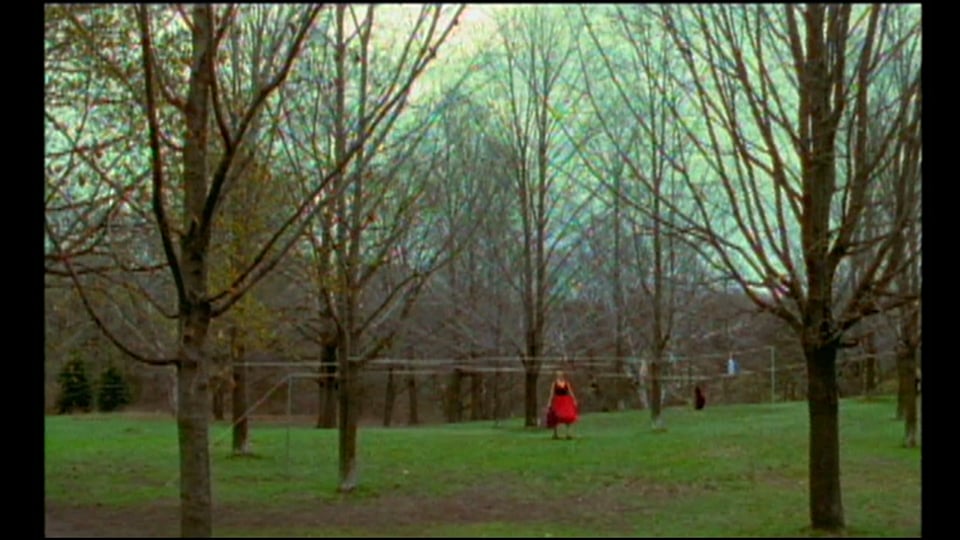 Cherries in the Snow (an Ode to Joan Nestle)