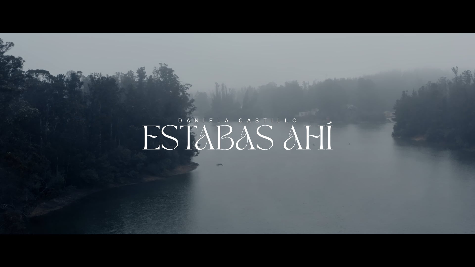 Estabas ahi - Daniela Castillo
