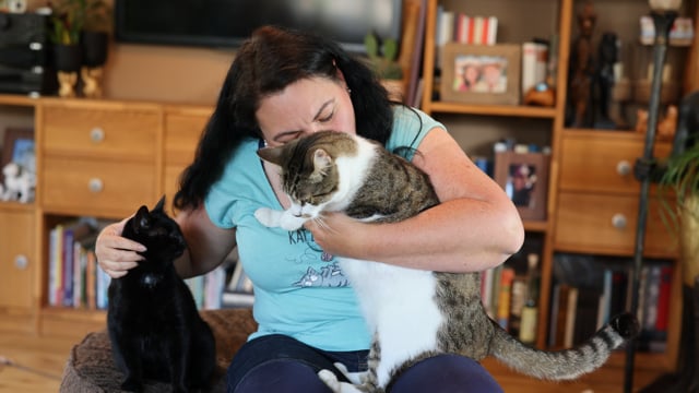 Mit 20 Katzen unter einem Dach