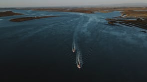 Mariana // Frederico - Getting Married at Aveiro's Estuary