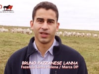 Convite Bruno Pazzanese Lanna