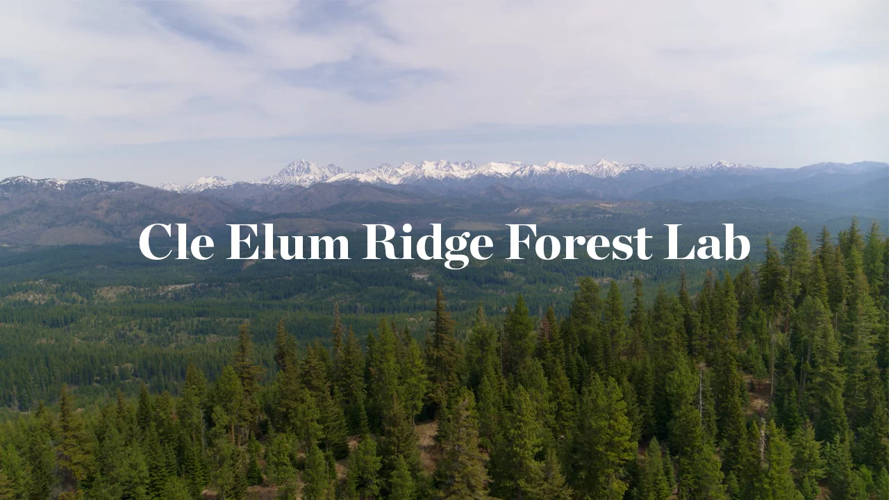 Cle Elum Ridge Forest Lab on Vimeo