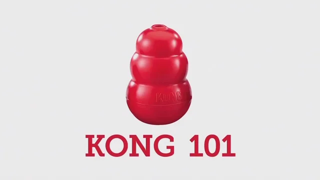 Kong dog best sale toys warranty