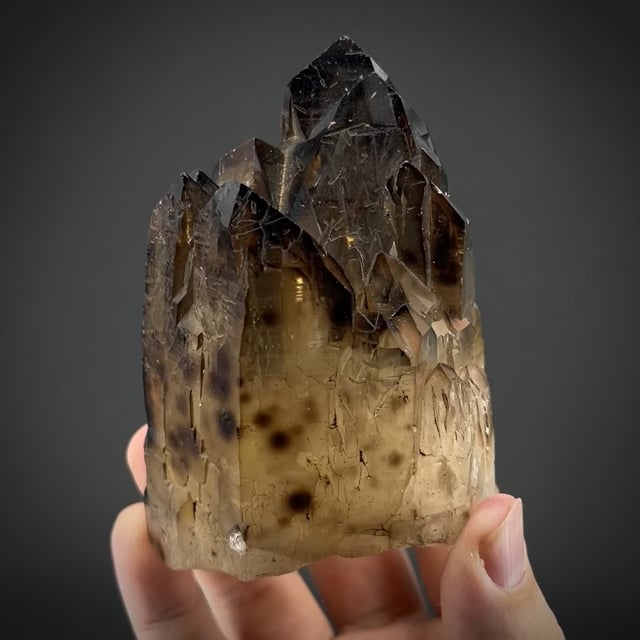 Gem Smoky Quartz