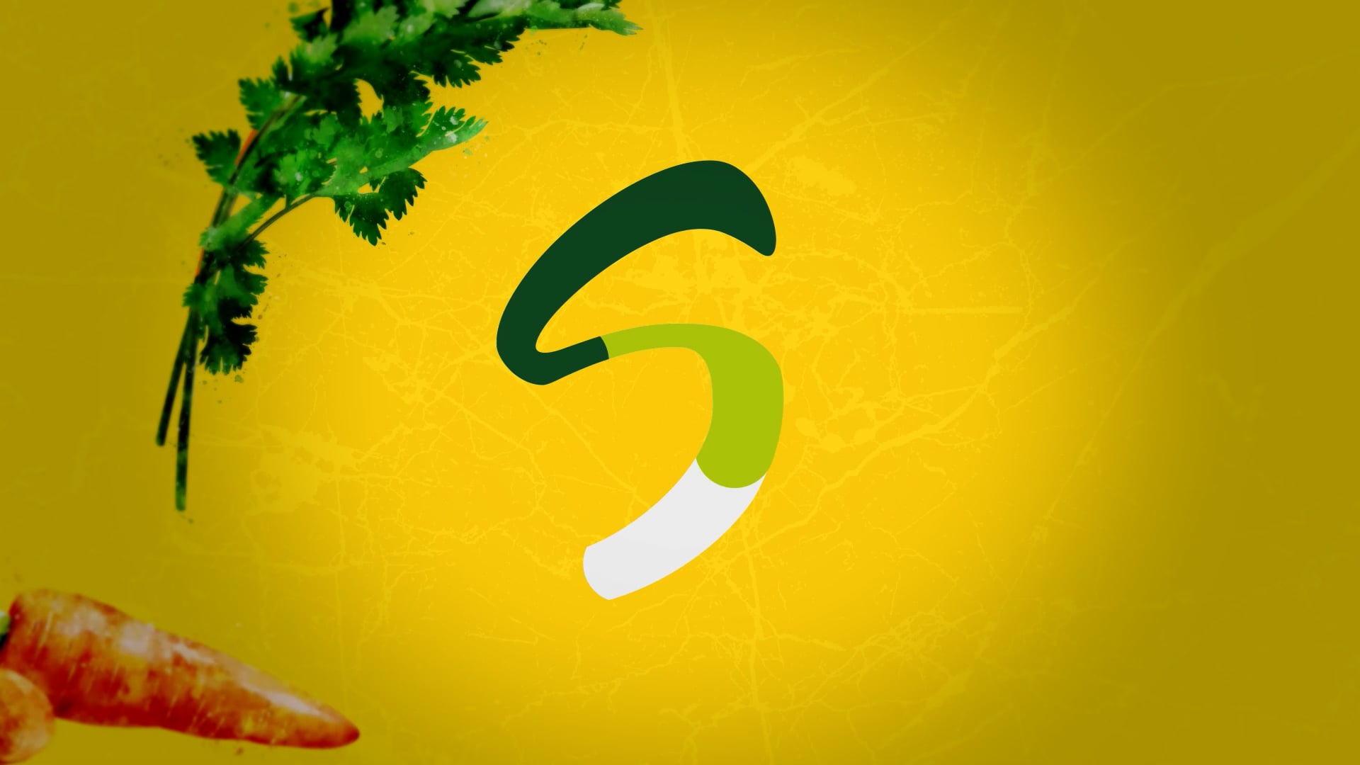 VHT | Sabor e Luz | GNT