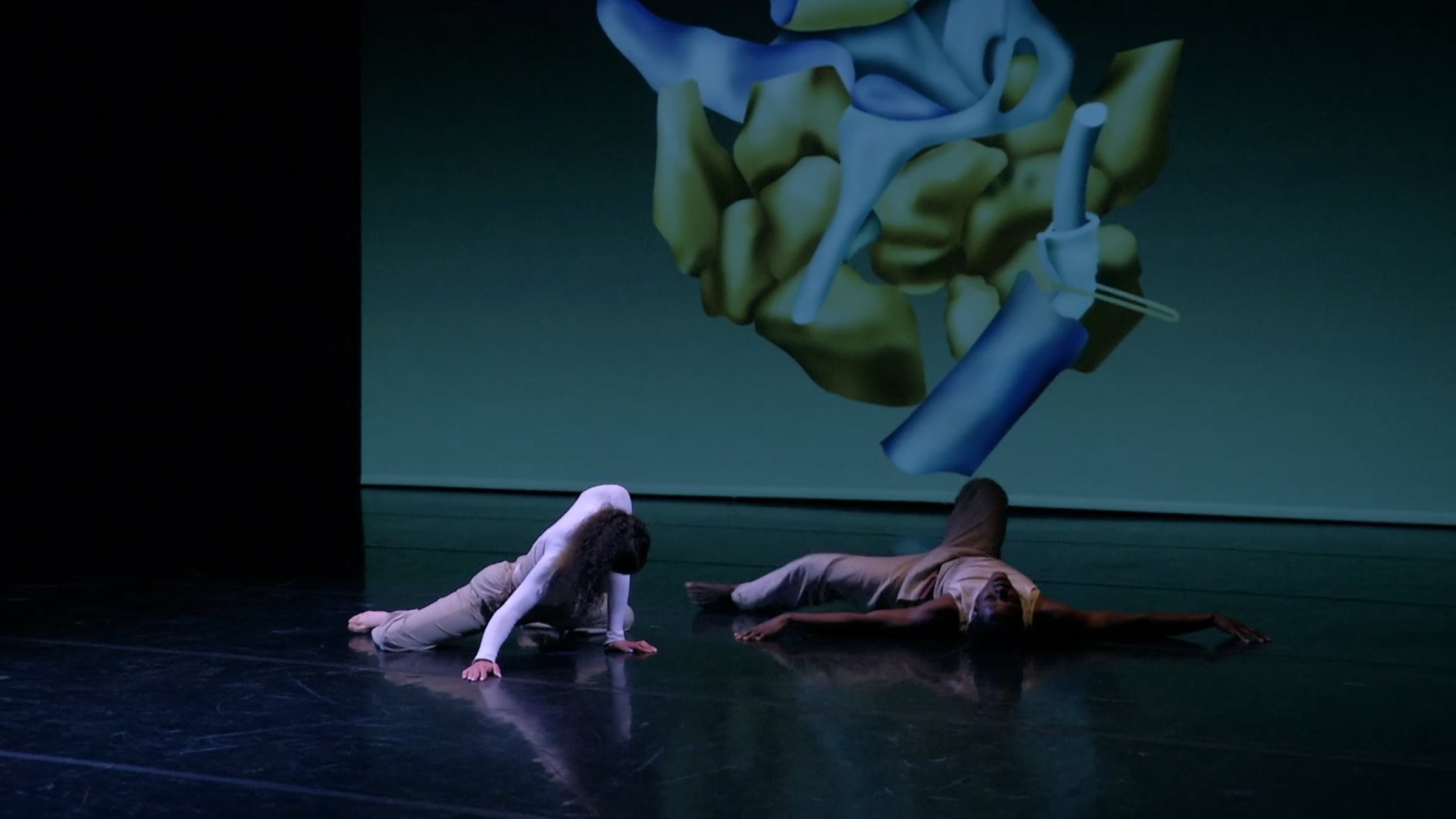 RIMANI | Videos & Movies on Vimeo