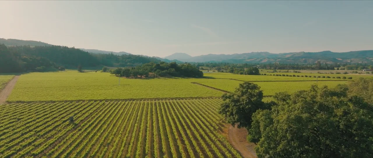 Ally & Paul wedding film at Beaulieu Gardens · Napa Valley