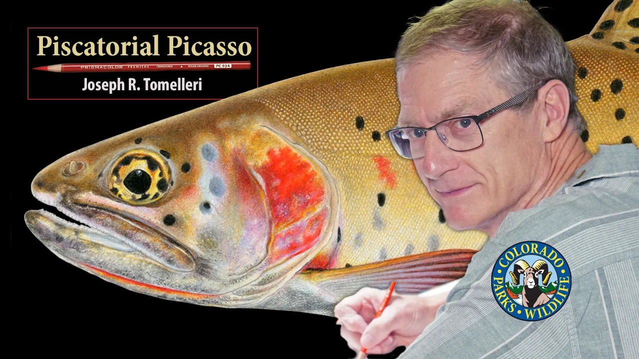 Piscatorial Picasso' Renowned Fish Illustrator Joseph R. Tomelleri on Vimeo
