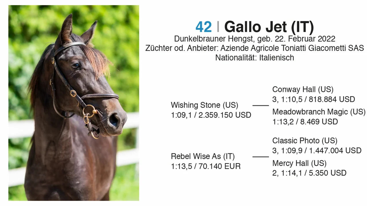 Auktionsnummer 42 - Gallo Jet (IT)