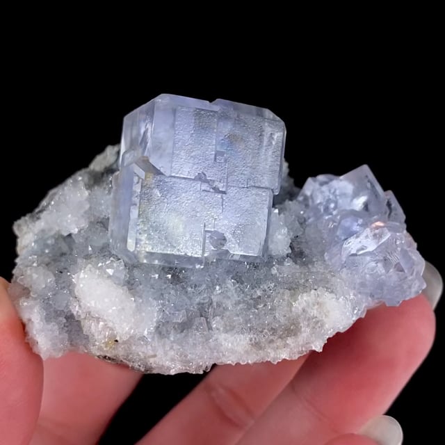 Fluorite (GEMMY crystals)