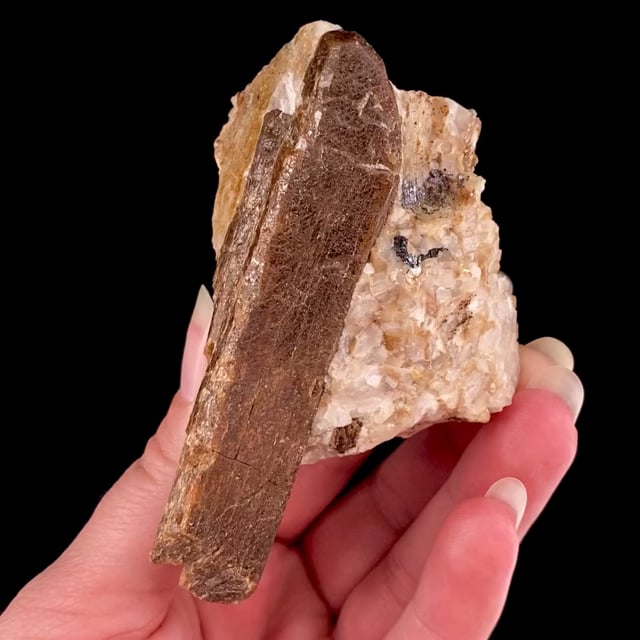 Bustamite (large crystal!)