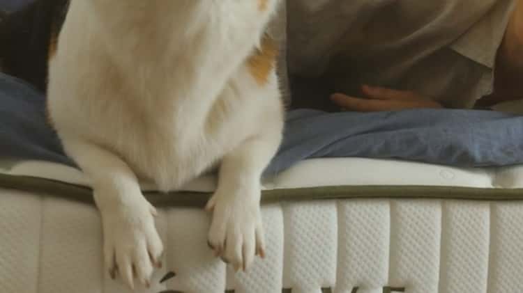 ÓLIVE Natural Mattress - Óriginal on Vimeo