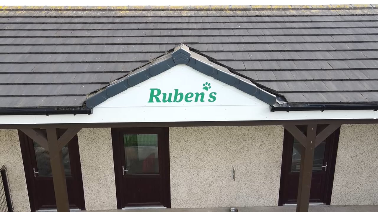 Ruben's Pet Store and Dog Daycare