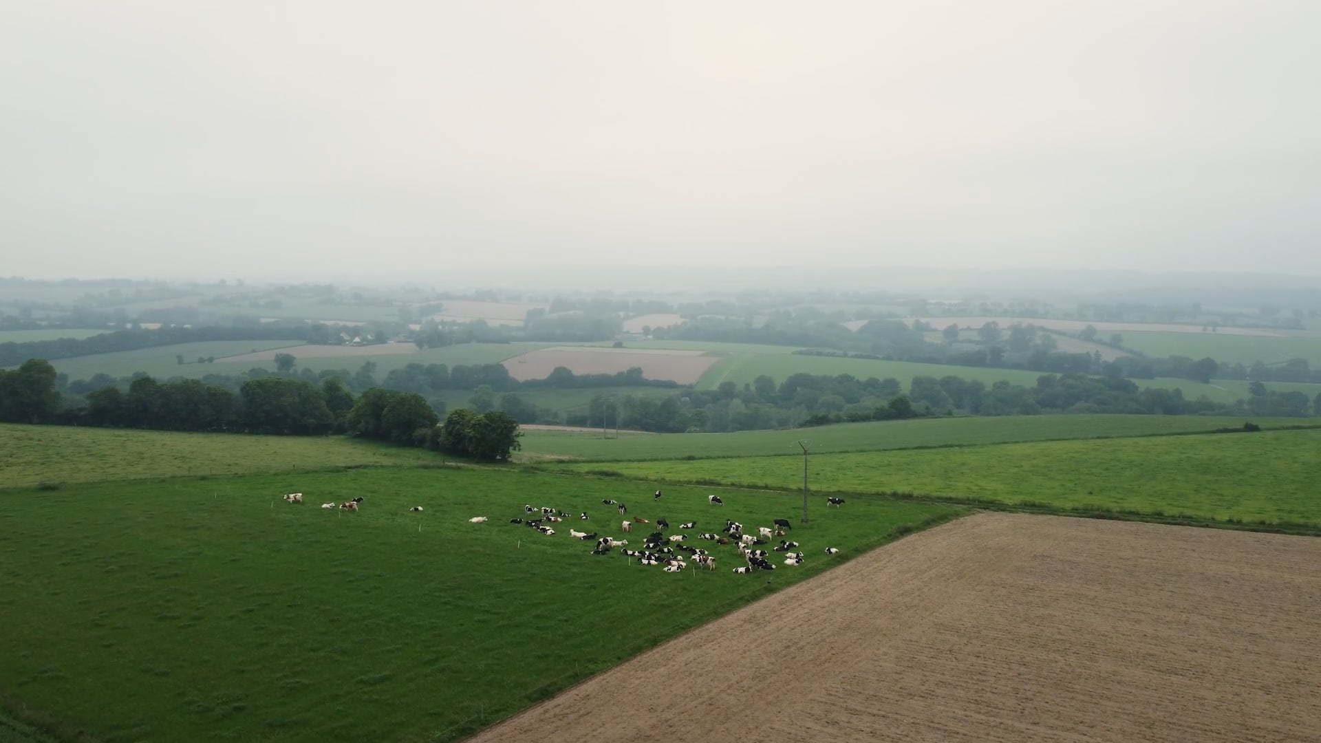 GAEC Le Moulin à Vent Testimonial, France (2023)