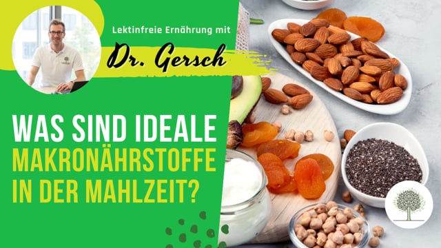 Ideale Makronährstoffe in einer Mahlzeit und die Realität Kohlenhydrate, Fette und Proteinanteile 