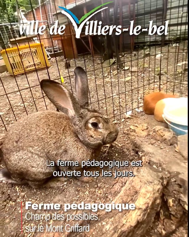 Vimeo Video : Rendez-vous à la Ferme pédagogique