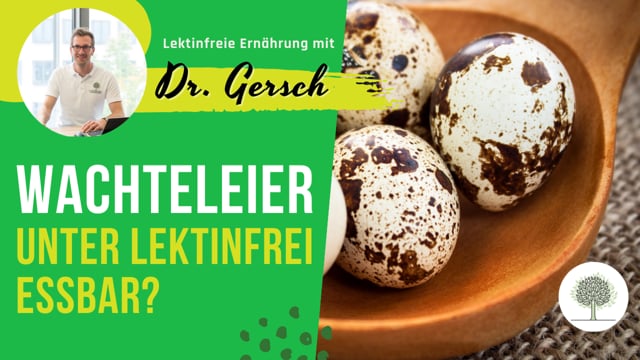 Sind Wachteleier aus Getreide-Zufütterung vertretbar auf einer lektinfreien Ernährung?